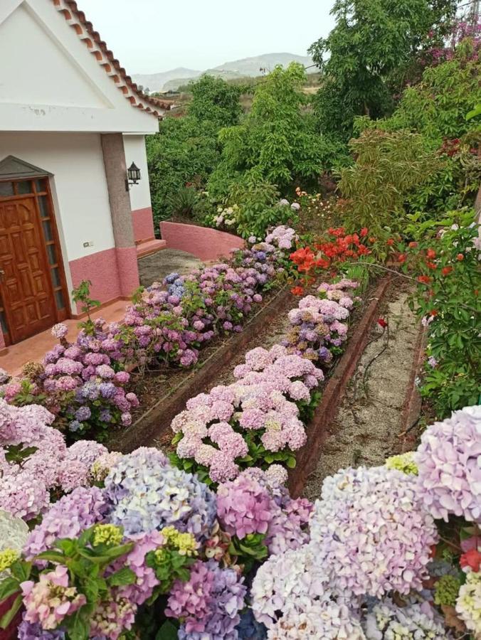 Mar De Flores Vega de San Mateo Eksteriør billede
