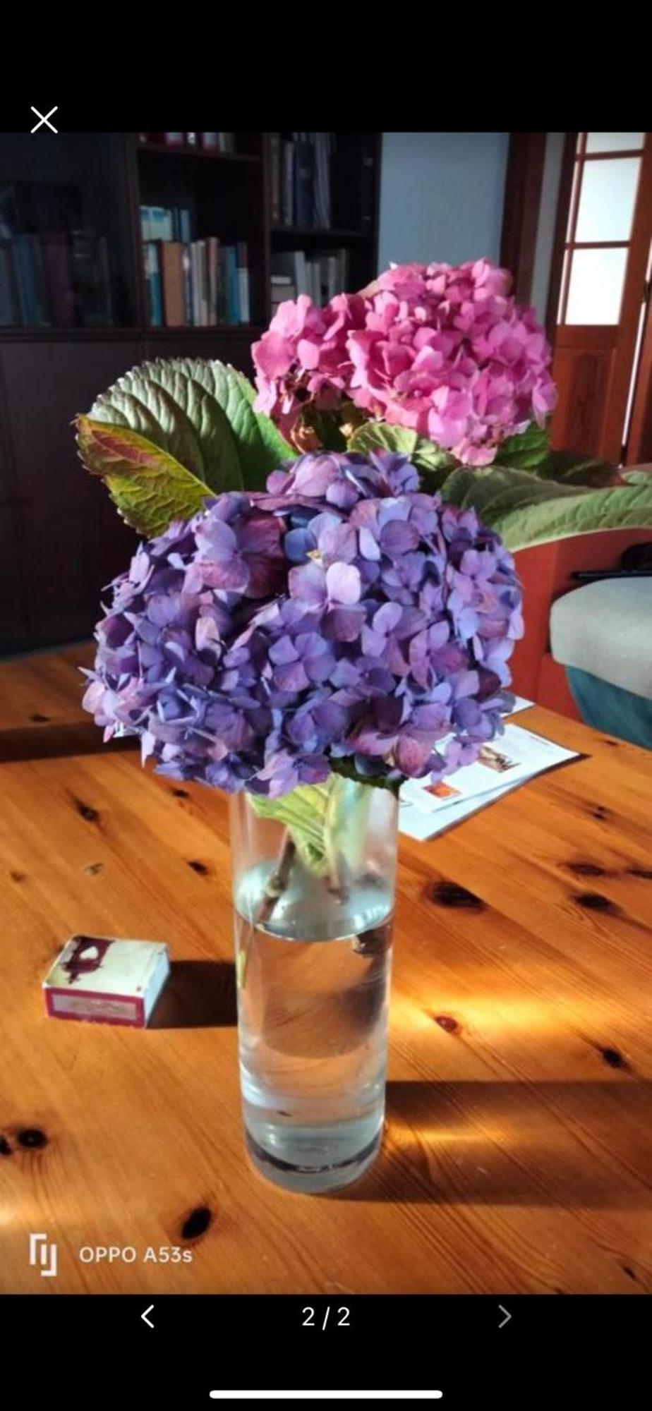 Mar De Flores Vega de San Mateo Eksteriør billede